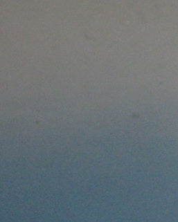 Rolling Oval Car Decal Sticker Specials 25cm