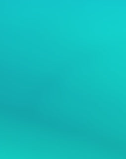 Rolling Oval Car Decal Sticker Specials 25cm