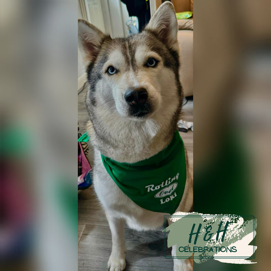 Rolling Oval Pet Bandana